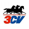3CV